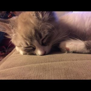 Meet your Posher, Genna